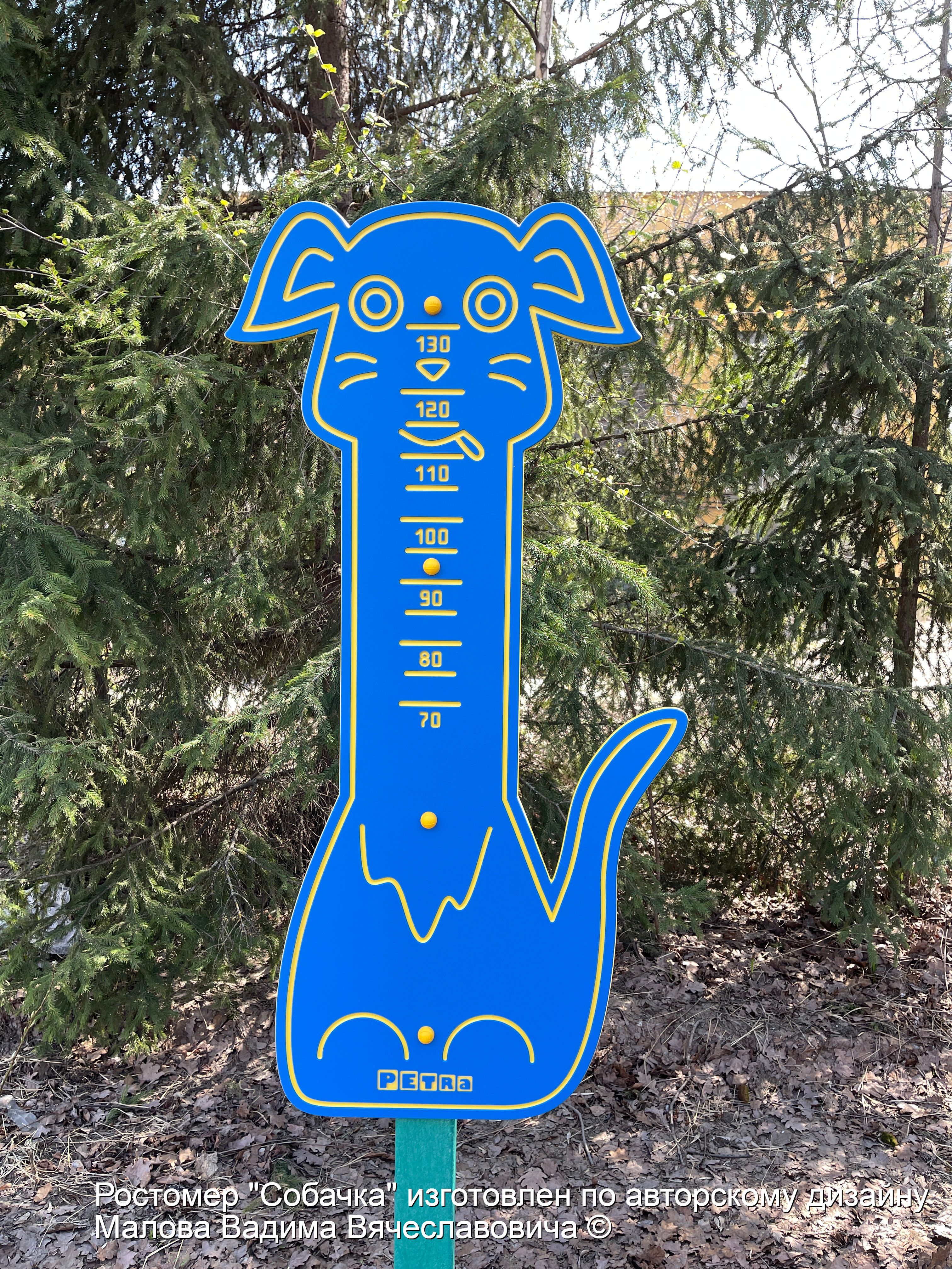 5.1 Ростомер Собачка-22.08.2022